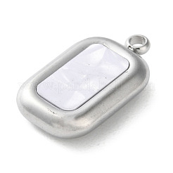 304 Stainless Steel Acrylic Pendants&nbsp;STAS-M091-02C-P