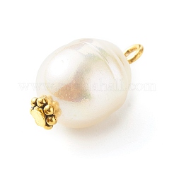 Acrylic Pendants&nbsp;PALLOY-JF00771