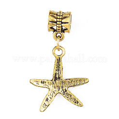 Tibetan Style Alloy European Dangle Charms&nbsp;PALLOY-I181-062AG