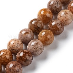 Natural Flower Agate Beads Strands&nbsp;G-B044-A01-04