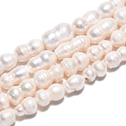 Natural Baroque Keshi Pearl Beads Strands&nbsp;PEAR-S020-O02