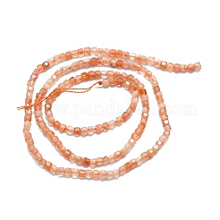 Natural Sunstone Beads Strands&nbsp;G-P457-B01-17