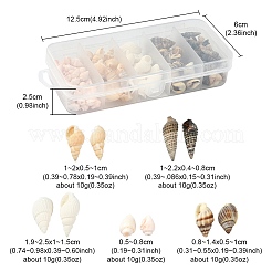 5 Styles Mixed Natural Shell Beads&nbsp;SSHEL-YW0001-04