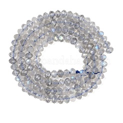 Natural Labradorite Beads Strands&nbsp;G-K366-A01-01