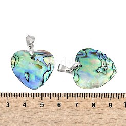 Natural Abalone Shell/Paua Shell Pendants&nbsp;SSHEL-M024-01
