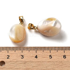 Natural Yellow Shell Pendants&nbsp;SSHEL-H071-06G