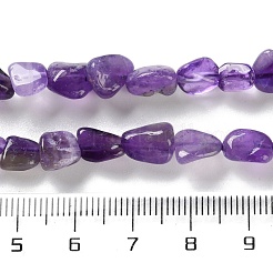 天然石アメジストビーズ連売り  ナゲット  タンブルストーン  4.5~11.5x3~7x3.5~6mm  穴：1~1.2mm  約48~68個/連  15.35~15.94''（39~40.5センチメートル）&nbsp;G-P497-01C-21