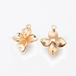Brass Charms&nbsp;KK-N232-184G-NF