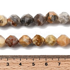 Natural Crazy Agate Beads Strands&nbsp;G-Z119-A13-03