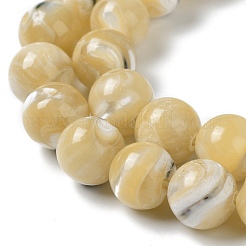 Natural Trochus Shell Beads Strands&nbsp;BSHE-P033-03B