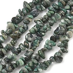 Natural Jade Beads Strands&nbsp;G-Z081-A02
