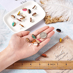 12Pairs 12 Colors Opaque Resin & Walnut Wood Stud Earring Findings&nbsp;MAK-CD0001-05
