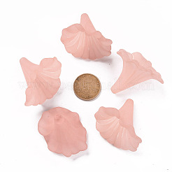 Transparent Acrylic Beads&nbsp;BSF796-C11