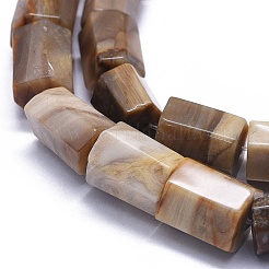 Natural Petrified Wood Beads Strands&nbsp;G-K293-J02-E