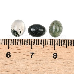 Natural Moss Agate Cabochons&nbsp;G-D367-01B
