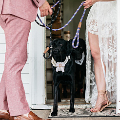 ベルベットのラインストーン取り外し可能なペットの結婚式のカップルのリングベアラーボックス  犬/猫の首輪結婚指輪ホルダープロポーズ婚約結婚式パーティー用  正方形  オーバル  33.7cm  箱：56x51.5x50ミリ&nbsp;RDIS-WH0019-08B