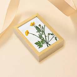 MDF(Middle Density Fibreboard) Photo Frame&nbsp;DJEW-GF0001-22A