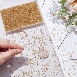 100G Glass Seed Beads&nbsp;SEED-SP0001-11B