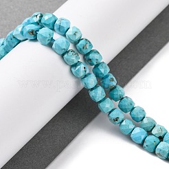 Natural Howlite Beads Strands&nbsp;G-G001-B02-05