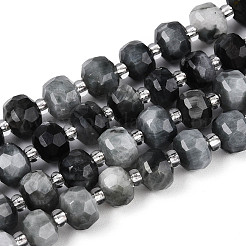 Natural Eagle Eye Stone Beads Strands&nbsp;G-N327-08A-02