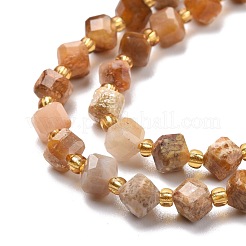 Natural Fossil Coral Beads Strands&nbsp;G-P463-48