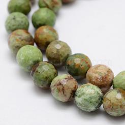 Natural Green Opal Beads Strands&nbsp;G-K209-05A-6mm