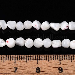 天然トロチッドシェル/トロカスシェルビーズ連売り  ナゲット  乳白色  3~4.5x2~5mm  穴：0.6mm  約101~110個/連  15.16~15.55インチ（38.5~39.5cm）&nbsp;SSHEL-N040-07