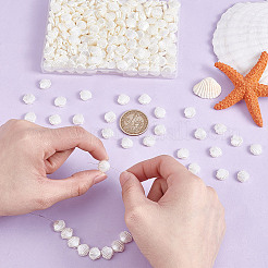 300Pcs ABS Imitation Pearl Beads&nbsp;OACR-UN0001-06