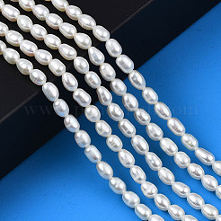 Natural Cultured Freshwater Pearl Beads Strands&nbsp;PEAR-N012-04D