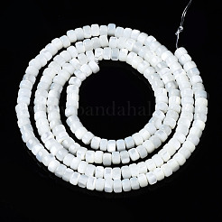 Natural Trochid Shell/Trochus Shell Beads Strands&nbsp;SSHEL-S266-016A-01