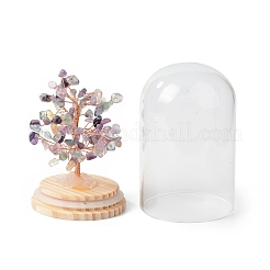 Natural Fluorite Chips Money Tree in Dome Glass Bell Jars with Wood Base Display Decorations&nbsp;DJEW-B007-04D