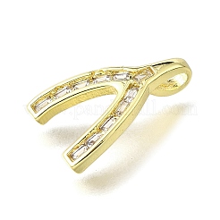 Brass Micro Pave Cubic Zirconia Pendants&nbsp;KK-V007-13G