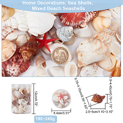 Natural Conch & Shell Beads&nbsp;SHEL-WH0005-01