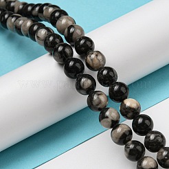 Natural Black Fossil Coral Beads Strands&nbsp;G-R494-A04-03