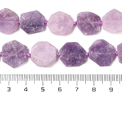 天然レピドライトビーズ連売り  六角  13.5~18x14~18x3~4mm  穴：1mm  約23~24個/連  15.35~ 15.75インチ（39~40cm）&nbsp;G-L095-A01-01B