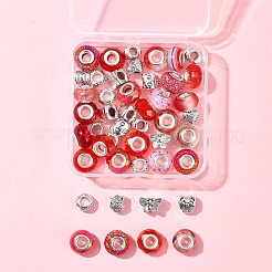 DIY Tibetan Style Alloy & Resin European Beads Making Finding Kits&nbsp;DIY-FS0006-78E