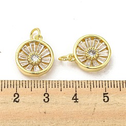 Brass with Cubic Zirconia Pendants&nbsp;FIND-Z023-13G