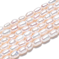 Natural Cultured Freshwater Pearl Beads Strands&nbsp;PEAR-N012-02K