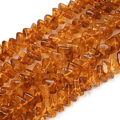 天然琥珀ビーズ連売り  菱形  チョコレート  6.5~7.5x6.5~7.5x2.5~3.5mm  穴：0.7mm  約75個/連  14.76''~14.96''（37.5~38センチメートル）&nbsp;G-K376-C03-01
