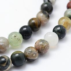 Natural Ocean Jasper Beads Strands&nbsp;G-P326-06-6mm