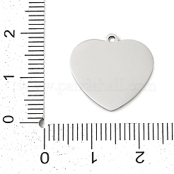 ステンレスペンダント201個  12つの星座のチャームが付いたハート  乙女座  17.5x18x1mm  穴：1.4mm&nbsp;STAS-F316-40P-08