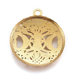 Tibetan Style Hollow Alloy Pendants&nbsp;X-TIBEP-F075-01AG-RS