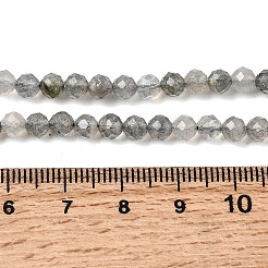 Natural Labradorite Beads Strands&nbsp;G-H336-A08-05