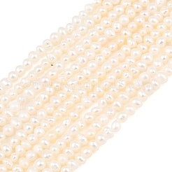 Natural Cultured Freshwater Pearl Beads Strands&nbsp;PEAR-D003-01C-01