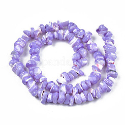 Natural Freshwater Shell Beads Strands&nbsp;SHEL-N003-23-B01