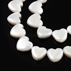 Natural Freshwater Shell Beads Strands&nbsp;SHEL-N026-220B