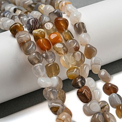 Natural Botswana Agate Beads Strands&nbsp;G-D081-A10-01