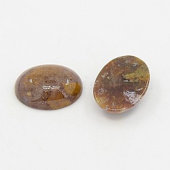 Oval Natural Gemstone Cabochons Mix&nbsp;GP184-7