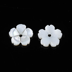 天然淡水シェルビーズ  花  貝殻色  9.5x10x1.5~2mm  穴：1.2mm&nbsp;SHEL-N026-185