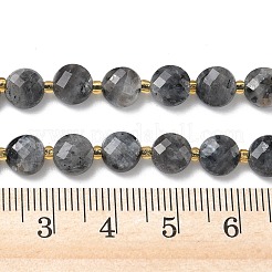 Natural Larvikite Beads Strands&nbsp;G-K389-B85-01